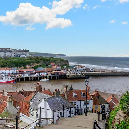 Cormorant Whitby
